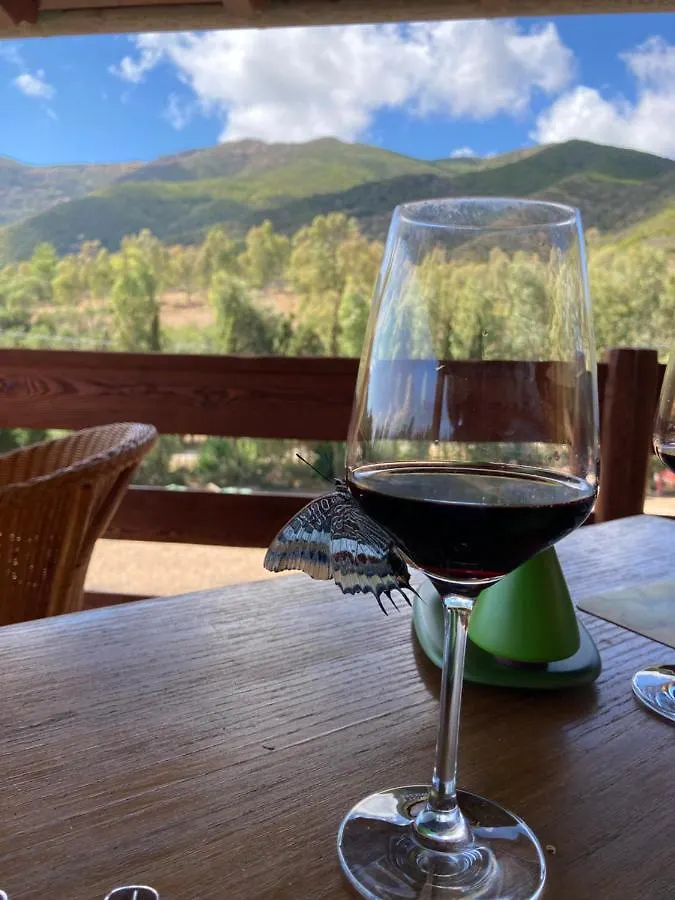 Coru & Bentu Acomodação com café da manhã Fluminimaggiore Alojamento de Acomodação e Pequeno-almoço