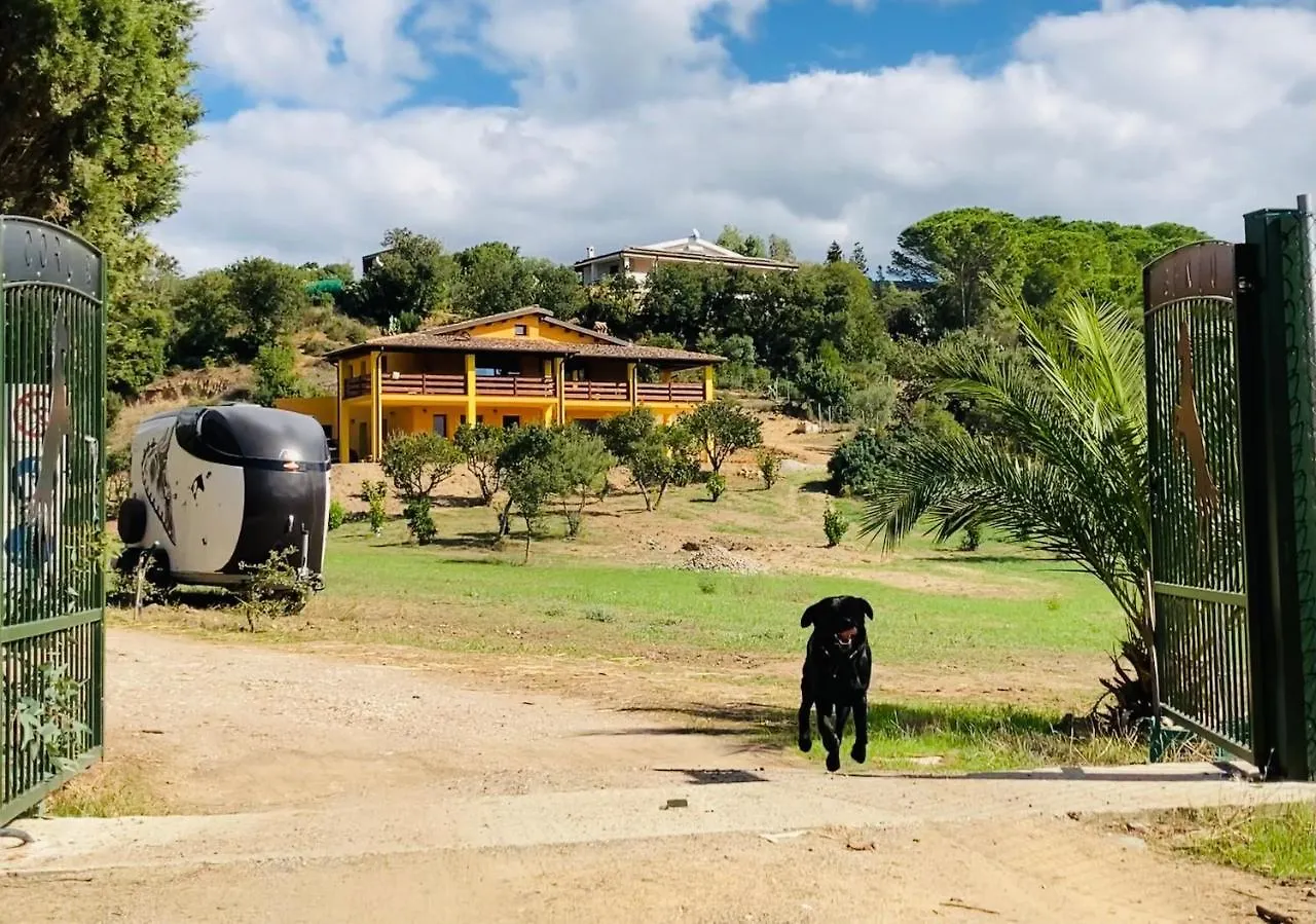Alojamento de Acomodação e Pequeno-almoço Coru & Bentu Acomodação com café da manhã Fluminimaggiore Itália